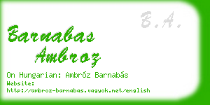 barnabas ambroz business card