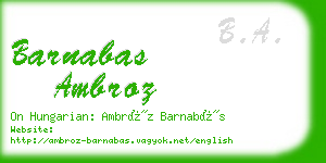 barnabas ambroz business card